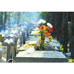 殡葬服务价格-武汉长乐园(在线咨询)-汉口殡葬