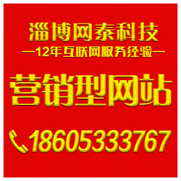 淄博网泰科技(图)|张店专门做网站的公司|桓台做网站的