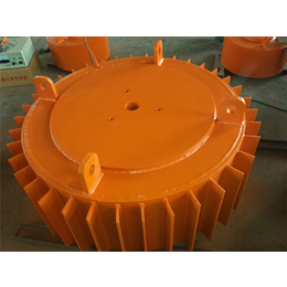 绥化电磁除铁器-潍坊特力机械(图)-干式电磁除铁器