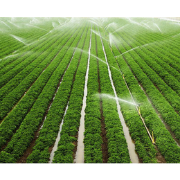 安徽安维节水灌溉(图)、果树喷灌安装、果树喷灌