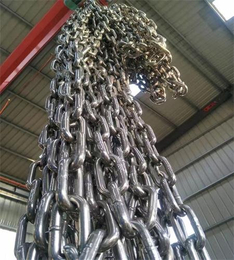 201不锈钢链条厂家-安顺不锈钢链条-泰安鑫洲机械(图)