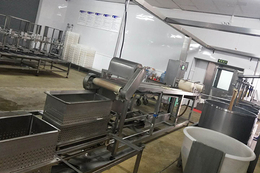 震星豆制品机械设备-潍坊豆腐皮机-中型豆腐皮机多少钱