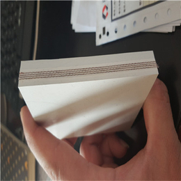宏基橡胶|白色橡胶输送带|白色橡胶输送带规格