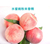 唐朝食品 水蜜桃粉末香精 工厂厂家* 食品级缩略图1