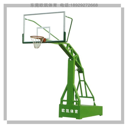 篮球架安装-篮球架厂家(在线咨询)-企石篮球架