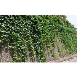 自嵌式景观挡土墙报价|舒布洛克|南京自嵌式景观挡土墙