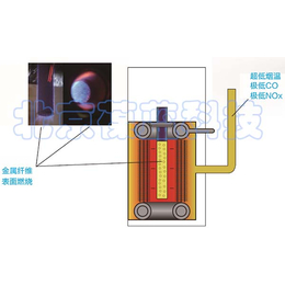 低氮型常压间接式热水机组-低氮-北京葆蓝