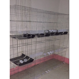 三层1.7高鸽子笼子制作组装 养殖户样种鸽的笼具图片