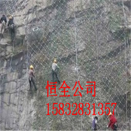 堤坡防护网厂家|主动网防护厂家|梧州防护网