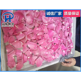 山东恒尔(图),蔬菜低温速冻机参数,贵州蔬菜低温速冻机