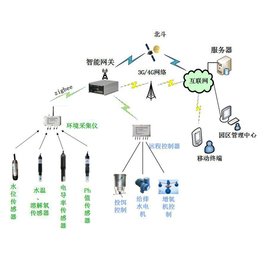 水产农业物联网系统,水产农业物联网,兵峰、水产物联网(查看)