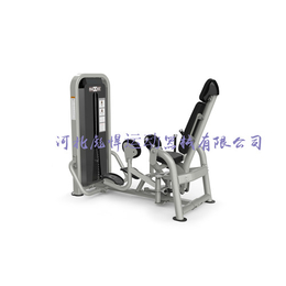 彪悍运动器械(图),商用健身器材厂家,沧州健身器材