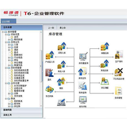 贵州东语(图)|办公财务软件|兴义办公财务软件