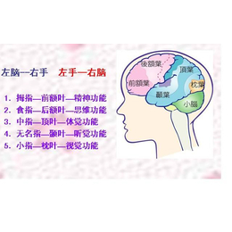 皮纹心理学皮纹测试皮纹分析缩略图