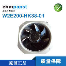 W2E200-HK38-01 <em>200mm</em>直径 机柜用轴流风扇
