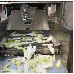 蔬菜风干机哪里卖_日喀则地区蔬菜风干机_诸城洗刷刷机械(图)