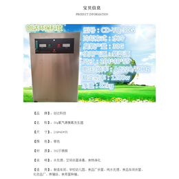 创达臭氧机30g氧气源臭氧发生器工业用食品厂化妆品车间水处理