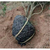 恩尔6.5孔包树根网篮现货供应包树铁丝土球网缩略图2