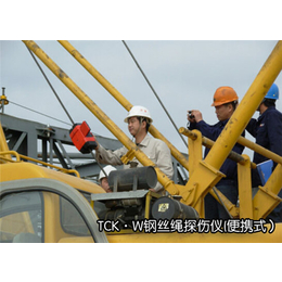 港口钢丝绳检测仪公司、港口钢丝绳检测仪、洛阳威尔若普检测