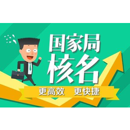 什么是总局核名