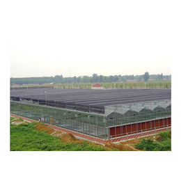 赤峰玻璃温室-玻璃智能温室大棚建设-瑞青农林(推荐商家)