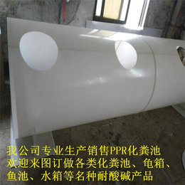 化粪池,节能环保设计 东莞厂家生产,ppr化粪池管道