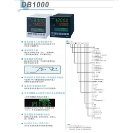 杭州数字式温控仪|科能|数字式温控仪型号