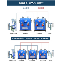 服装整烫蒸汽发生器*-河南服装整烫蒸汽发生器-台锅锅炉