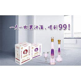 广东华子龙酒(图)-鲜榨果汁酒价格-鲜榨果汁酒