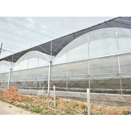 玻璃连栋温室-玻璃温室-青州瀚洋农业