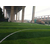 呼和浩特品质人造草坪生产工艺高尔夫球场草坪缩略图2