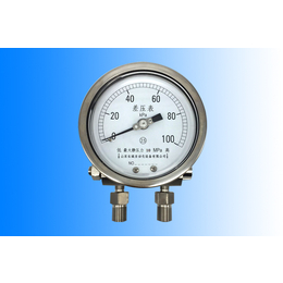 隔膜压力表|湛江压力表|长城仪表厂家*(查看)