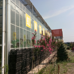 承建玻璃温室大棚制造厂家选择青州锦坤温室工程