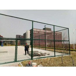 艾斯欧批发 五人制足球场地围网 体育场操场防护铁丝网缩略图
