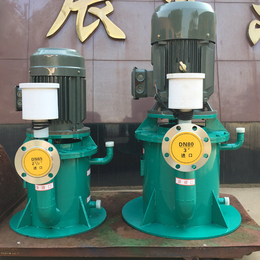 云南65WFB-F自吸式水泵-石保泵业