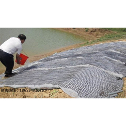 生态袋护坡造价,鑫宇土工材料服务好,抚州生态袋护坡