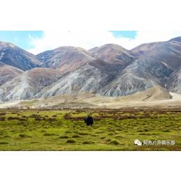 新藏线包车注意事项_珠峰大本营包车_阿布旅游自由之选(多图)