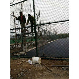 扁铁式球场围网定制 组装式勾花围网 pvc镀锌包塑篮球场安装