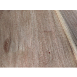 勇新木业板材厂-加工红橄榄面皮厂家哪家好