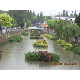 水生植物生态浮床,水生植物,南京华州环境工程公司