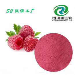 恒瑞康生物科技(图)|树莓粉应用范围|树莓粉