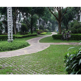 广州植草砖生产商|君明水泥(在线咨询)|东莞广州植草砖