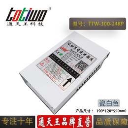 通天王变压器瓷白色防雨电源TTW-300-24RP  