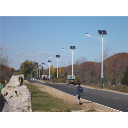 新农村太阳能路灯生产厂家,东龙新能源公司,农村太阳能路灯
