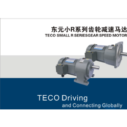 常州TECO|厦门鑫永元机电|TECO刹车电机现货