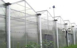 齐鑫温室园艺(图)|阳光板温室大棚建设|阳光板温室大棚