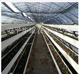 温室立体种植槽草莓立体种植架的盐城厂家批发