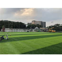 足球场人工草坪安装-早晨运动-南宁足球场人工草坪