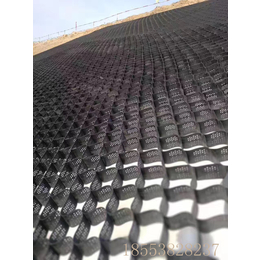 宁夏HDPE蜂巢约束系统 护坡防护高分子土工格室