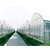 合肥新一佳(图)、蔬菜温室大棚价格、合肥温室大棚缩略图1
